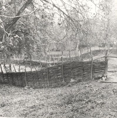 Drenje Šćitarjevsko - Ograda