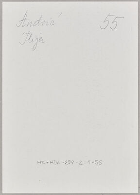 Andrić, Ilija, 1900. Policijski karton