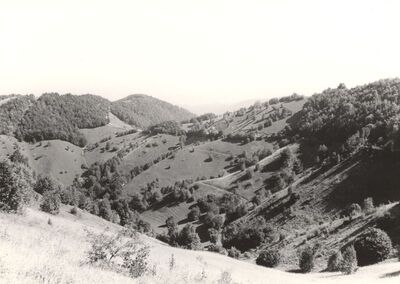 Višnjevec Podvrški - Panorama