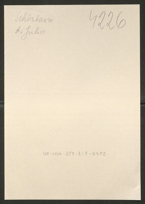 Schöbaum, Julijan, 17.10.1881. Policijski karton