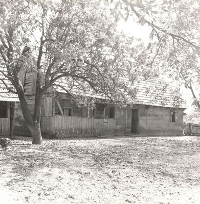 Ribnica - Tradicijska kuća, ulazno pročelje