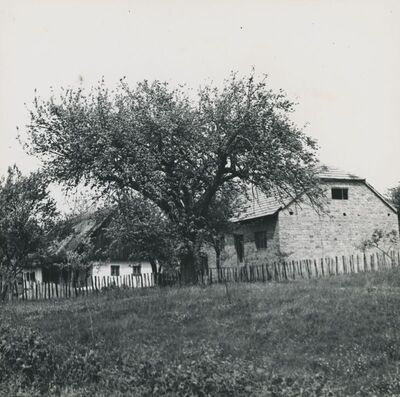 Dubravica - Kuća Pavla Štoosa, dvorište