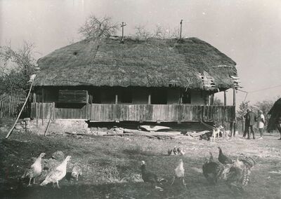 Griče (Ribnik) - Tradicijska kuća, duže pročelje s trijemom