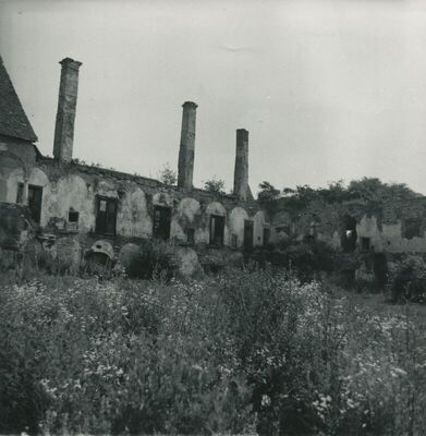 Novi Dvori Klanječki (Klanjec) - Dvor Erdödya, ruševina