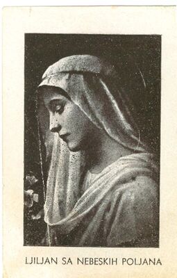 Blažena Djevica Marija