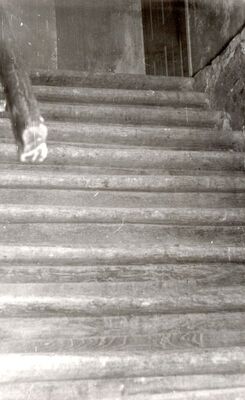 Cerje - Kurija župnog dvora, stepenice