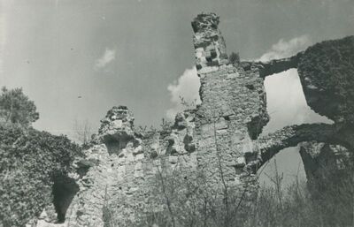 Vinica Breg (Vinica) - ruševine srednjovjekovnog grada