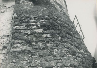 Bela (Novi Marof) - dvor II, detalj