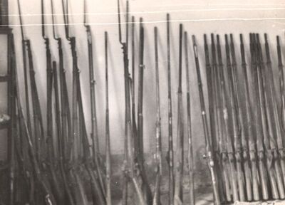 Januševec - Dvorac Januševec, zbirka oružja