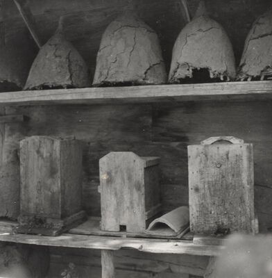 Donji Hruševec - Pčelinjak