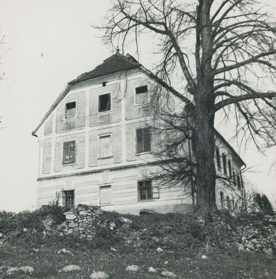 Bedekovčina - Dvorac Bedeković, vanjština