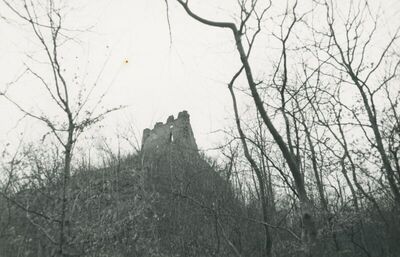 Belec (Zlatar) - Stari grad