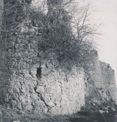 Slunj - Stari grad, detalj