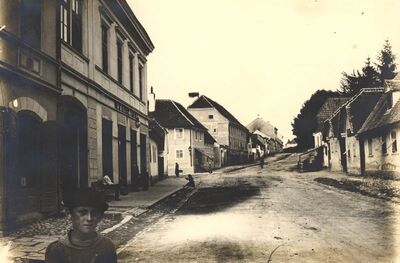 Jastrebarsko - Veduta