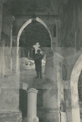 Trakošćan - dvorac, ulazni trijem