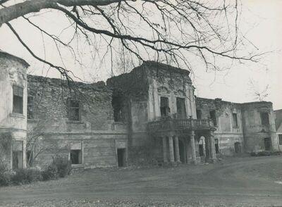 Dvorac Oroslavje Gornje (Oroslavje), vanjština, detalj