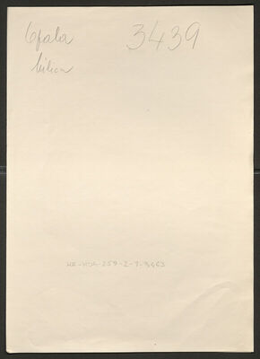 Opaloa, Milica, 25.6.1922. Policijski karton