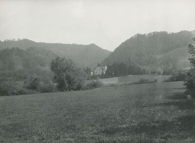 Bela (Novi Marof) - dvor I