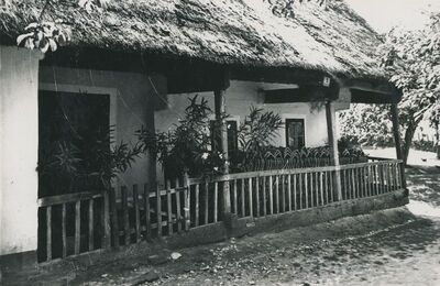 Dubravica - Kuća Pavla Štoosa, glavno pročelje s trijemom