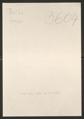 Perišić, Geza, 11.9.1921. Policijski karton