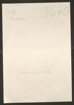 Pick, Malvina, 6.4.1896. Policijski karton