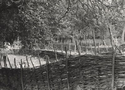 Drenje Šćitarjevsko - Pletene ograde