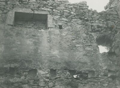 Grtovec (Budinščina) - Stari grad Milengrad, detalj