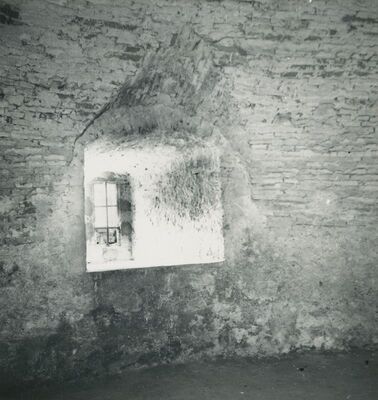 Trakošćan - dvor, podrumska prostorija, prozor