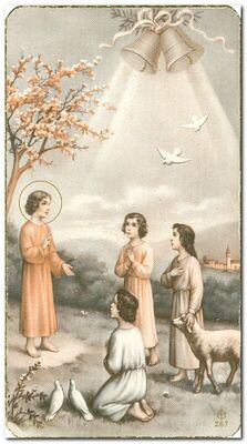 Uspomena na mladu misu mladomisnika Matije Nikolina