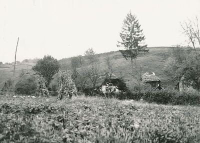 Tomašnica (Ozalj) - Okućnica