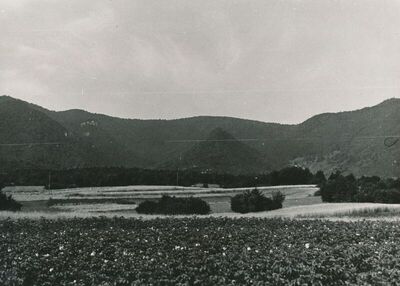 Vitunj (Ogulin) - Pogled