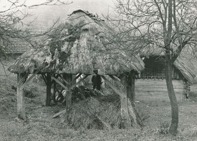 Tomašnica (Ozalj) - Sjenik