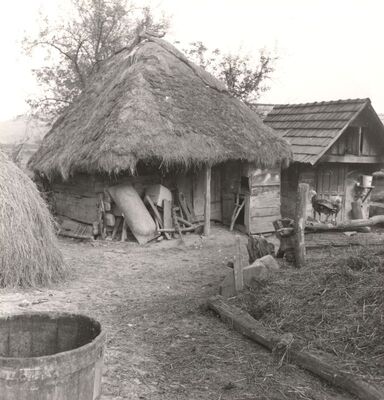 Gustelnica - Gospodarska zgrada