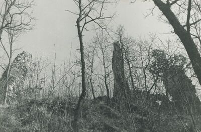 Vojnovec Loborski (Lobor) - Burg, ruševina