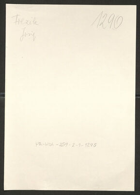 Frezik, Josip, 1904. Policijski karton