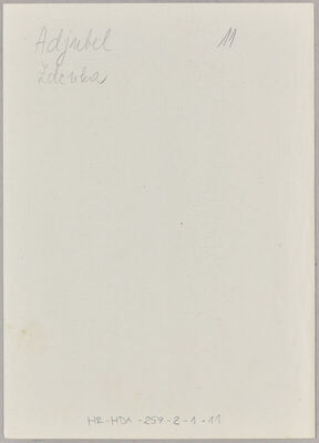 Adjubel, Zdenka, 28.5.1923. Policijski karton