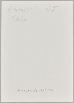 Amanović, Nikola, 24.4.1897. Policijski karton