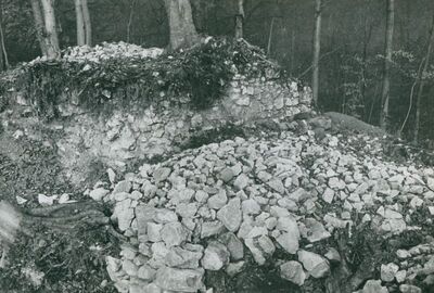 Zelingrad - Stari grad Zelingrad, sjeveroistočna kula