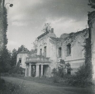 Dvorac Oroslavje Gornje (Oroslavje), vanjština, detalj