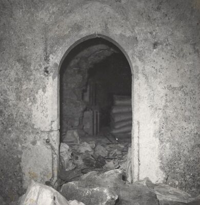 Ribnik - Stari grad, ulazna vrata