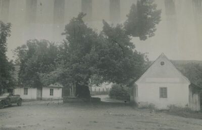Gornja Stubica - Gupčeva lipa