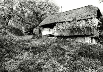 Martinski Vrh (Ribnik) - Tradicijska kuća, dulje i uže pročelje