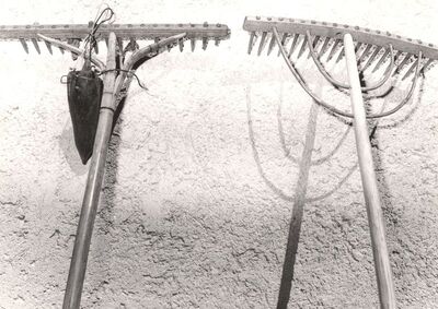 Sječevac - Grablje i vodir