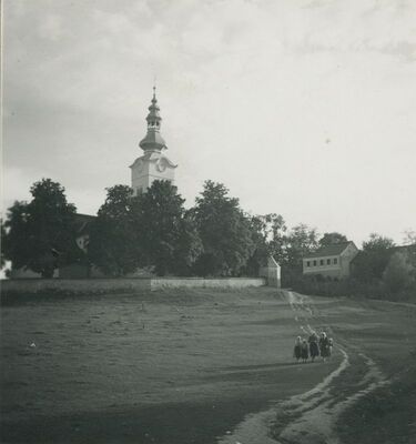 Donja Voća - Župna crkva sv. Martina