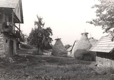Osunja - Dvorište sa stogovima sijena