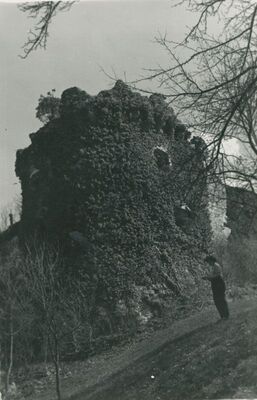 Vinica Breg (Vinica) - ruševine srednjovjekovnog graa