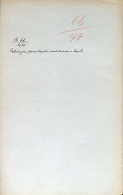 Petrinja - Crkva sv. Lovre, predstavka radi zvona i kupole