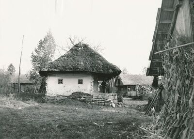 Jasenovica (Ribnik) - Tradicijska kuća, zabatno pročelje