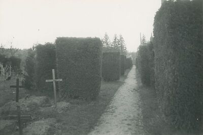 Marčan - groblje, ulaz