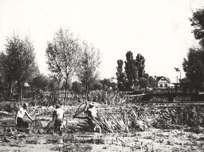 Dvorišće - Ribolov